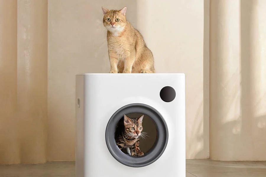 automatic cleaning cat box