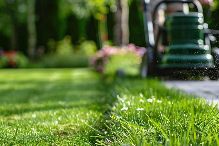 green electric lawn mower